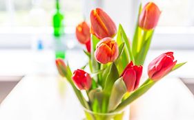 Pension Talblick
